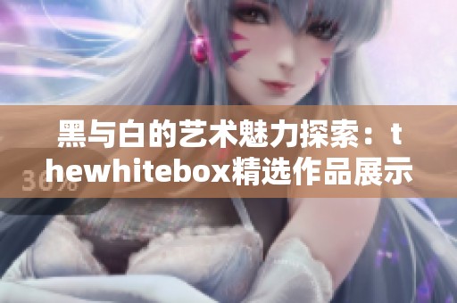 黑与白的艺术魅力探索：thewhitebox精选作品展示