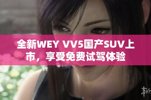 全新WEY VV5国产SUV上市，享受免费试驾体验