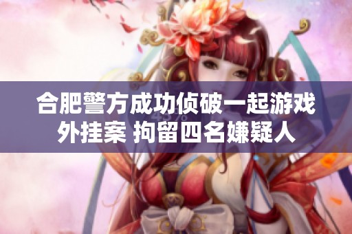 合肥警方成功侦破一起游戏外挂案 拘留四名嫌疑人