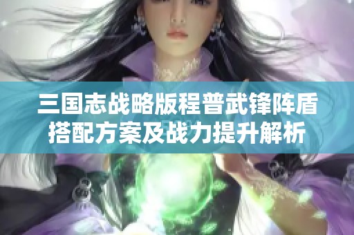 三国志战略版程普武锋阵盾搭配方案及战力提升解析