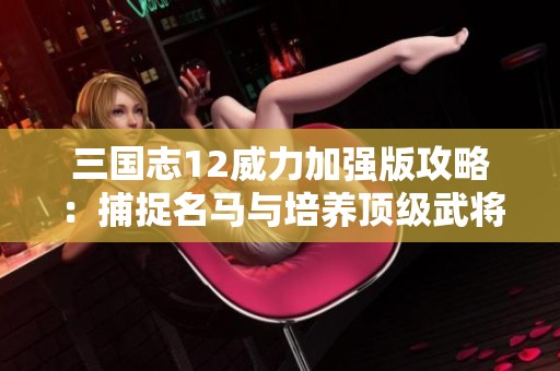三国志12威力加强版攻略：捕捉名马与培养顶级武将的实战技巧