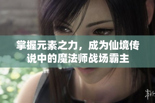 掌握元素之力，成为仙境传说中的魔法师战场霸主