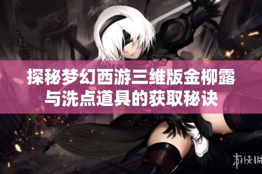 探秘梦幻西游三维版金柳露与洗点道具的获取秘诀