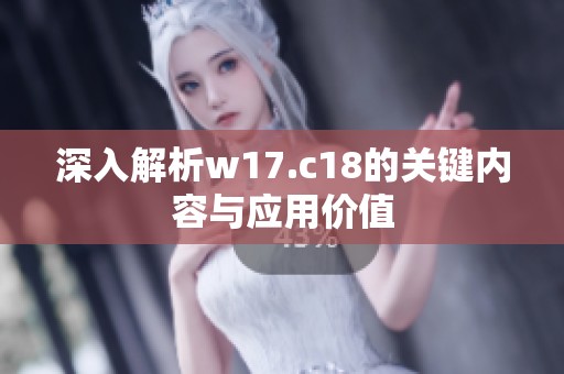 深入解析w17.c18的关键内容与应用价值