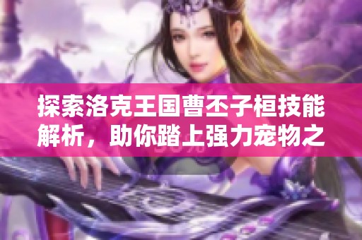 探索洛克王国曹丕子桓技能解析，助你踏上强力宠物之路