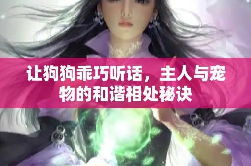 让狗狗乖巧听话，主人与宠物的和谐相处秘诀