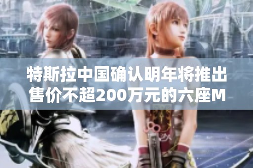 特斯拉中国确认明年将推出售价不超200万元的六座Model车型