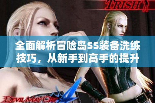 全面解析冒险岛SS装备洗练技巧，从新手到高手的提升之路
