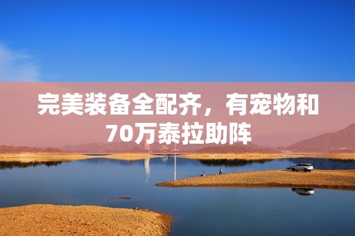 完美装备全配齐，有宠物和70万泰拉助阵