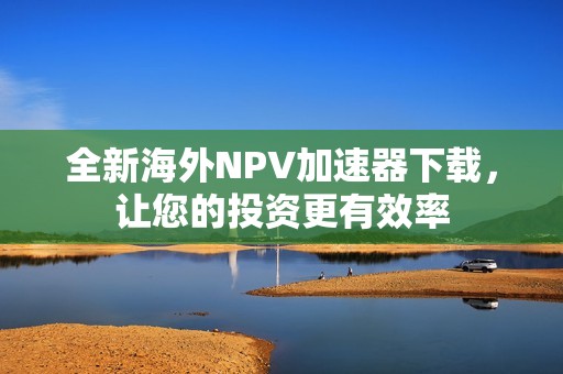 全新海外NPV加速器下载，让您的投资更有效率