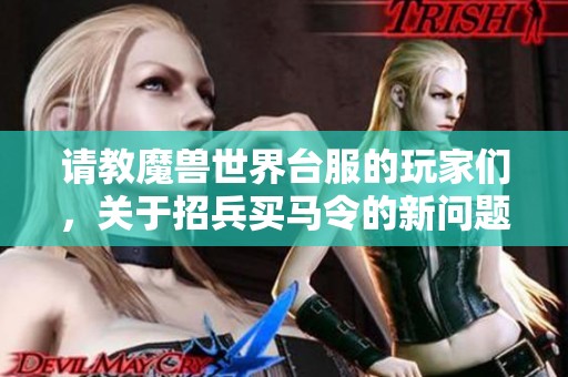 请教魔兽世界台服的玩家们，关于招兵买马令的新问题与建议