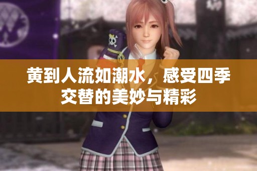 黄到人流如潮水，感受四季交替的美妙与精彩