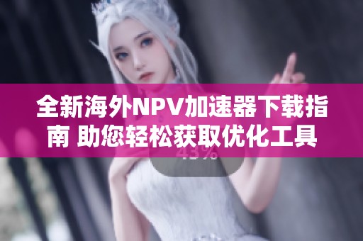 全新海外NPV加速器下载指南 助您轻松获取优化工具