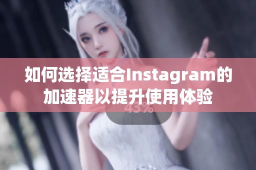 如何选择适合Instagram的加速器以提升使用体验