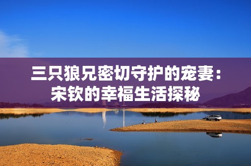 三只狼兄密切守护的宠妻：宋钦的幸福生活探秘