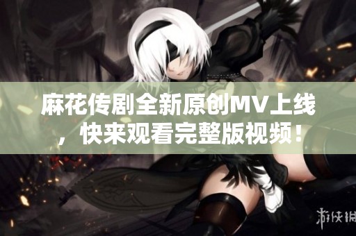 麻花传剧全新原创MV上线，快来观看完整版视频！